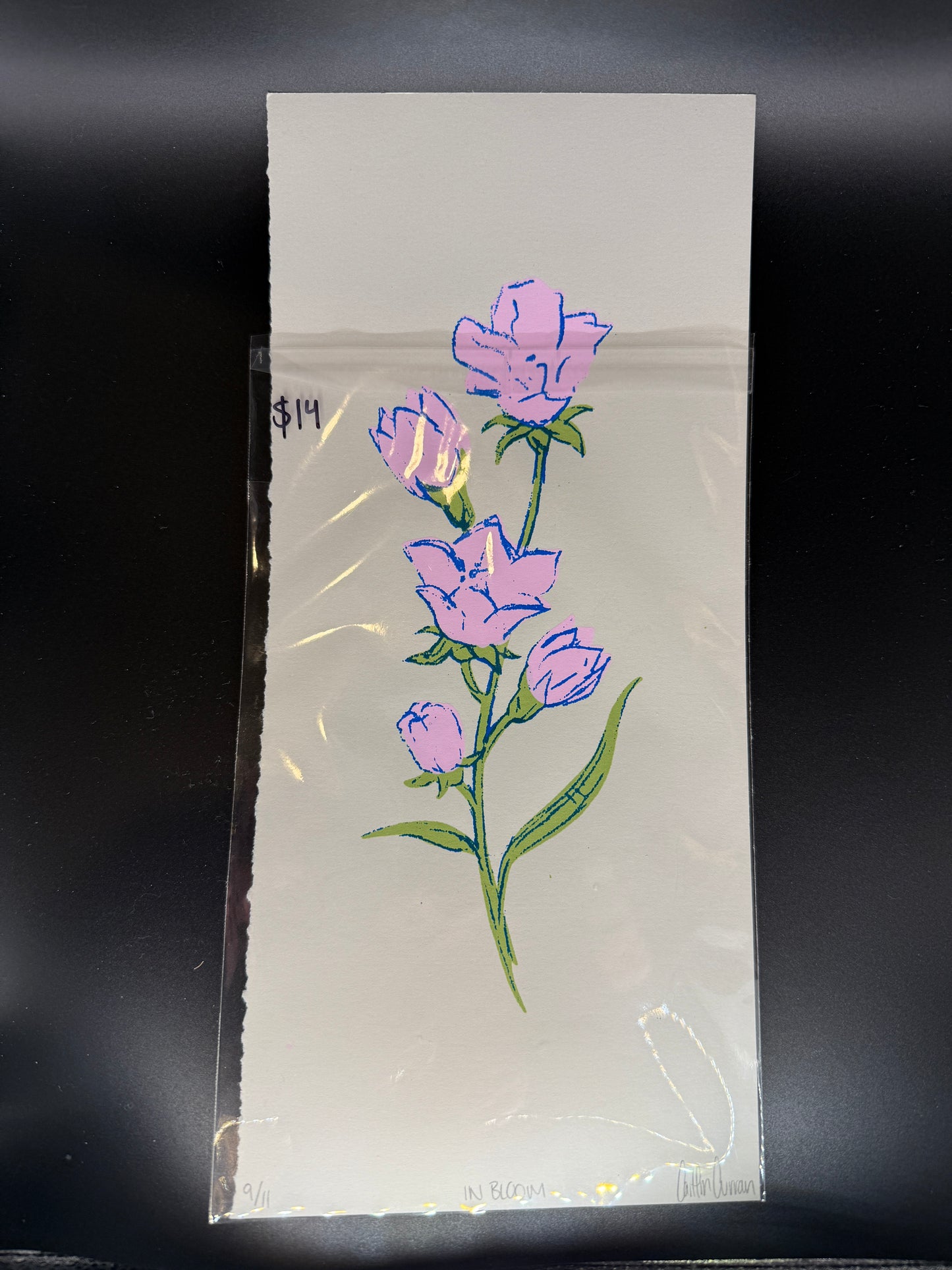 Limited Edition Print "In Bloom" on Paper - Hand-Signed and Numbered Fine Art