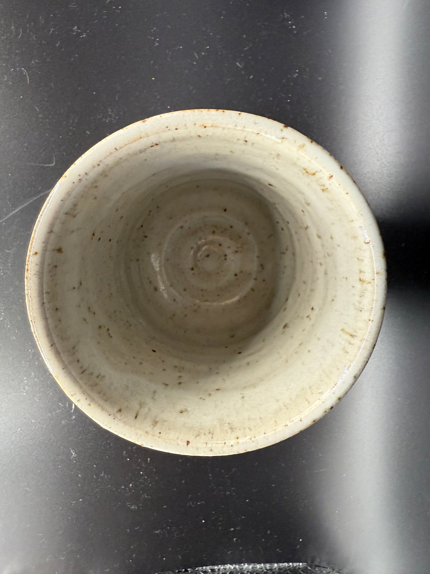 Handmade Ceramic Cup – Red Exterior with Hand-Drawn Bug Design & White Interior with Black Dots